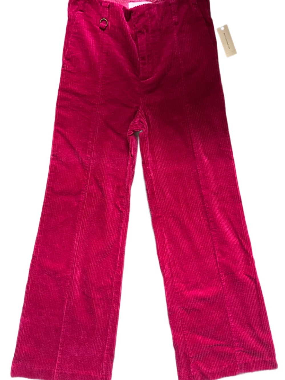 NWT Anthropologie Corduroy Pants in Deep Fuchsia Women’s size 28